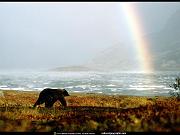 National Geographic Wallpapers 076_jpg